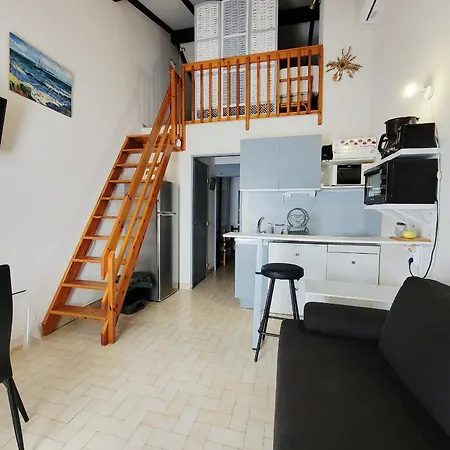 Cyprien : T2 Mezzanine Avec Garage - Animaux Admis - Fr-1-309-353